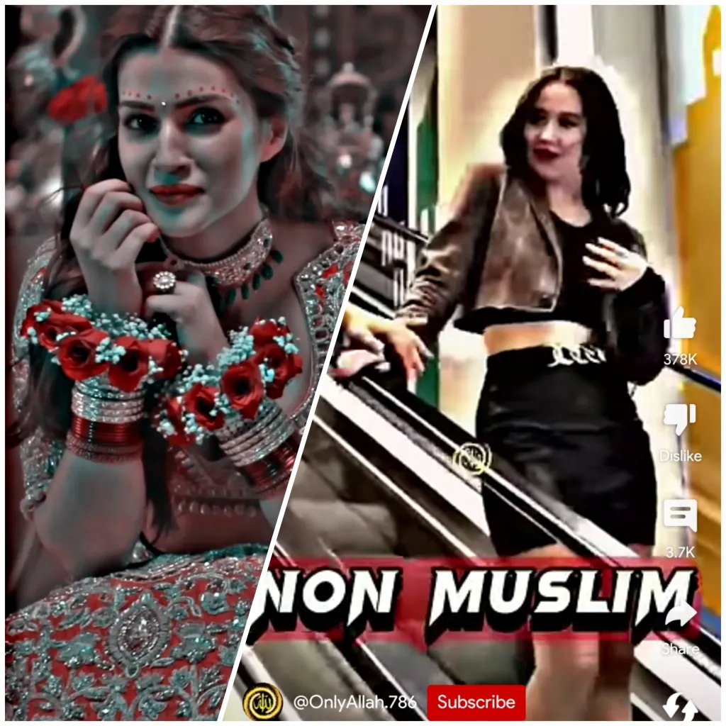 HDR Brown Color Grading Effect Alight Motion XML File Download thumbnail